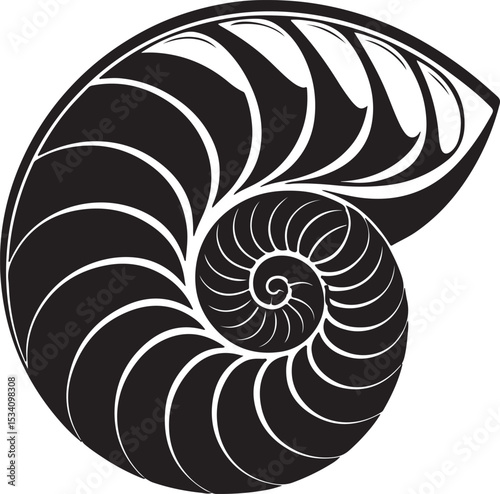 spiral vector illustration