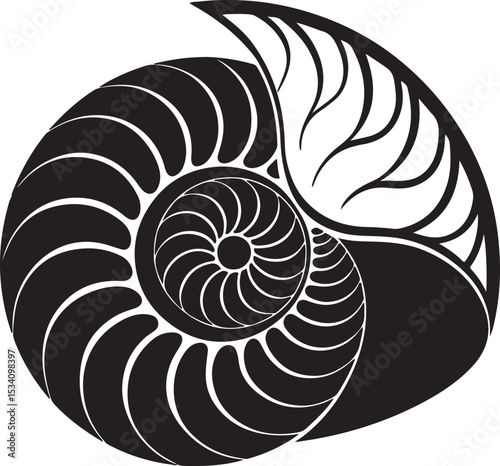 spiral vector illustration