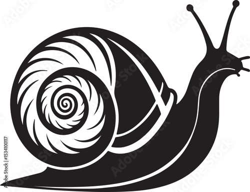 snail on white background