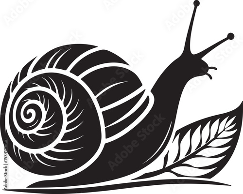 snail on a white background