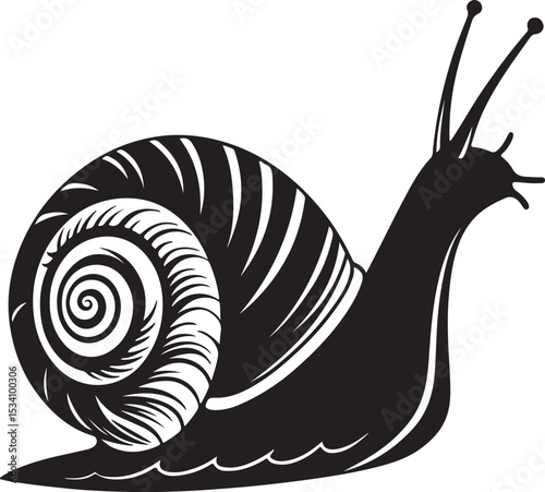 snail vector illustration