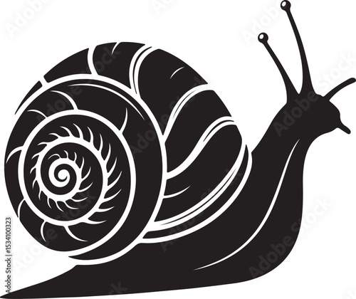 snail isolated on white background