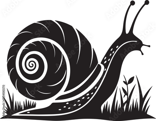 snail on a leaf
