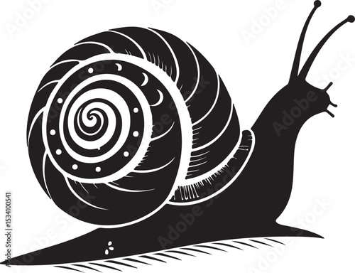 snail on a white background