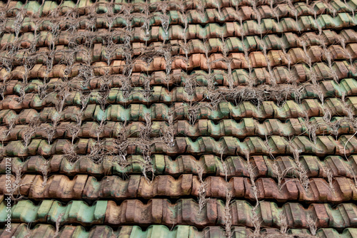 A roof with a green and brown color