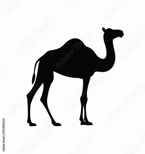 Silhouetted Camel in Desert Dusk