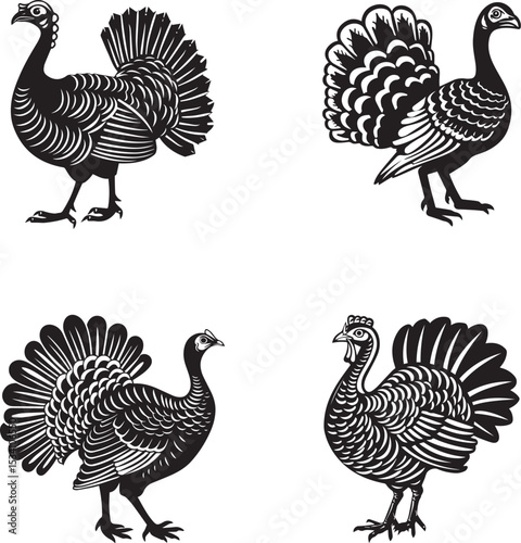 Turkey Animal Vector Illustration Set, Black and White Design
