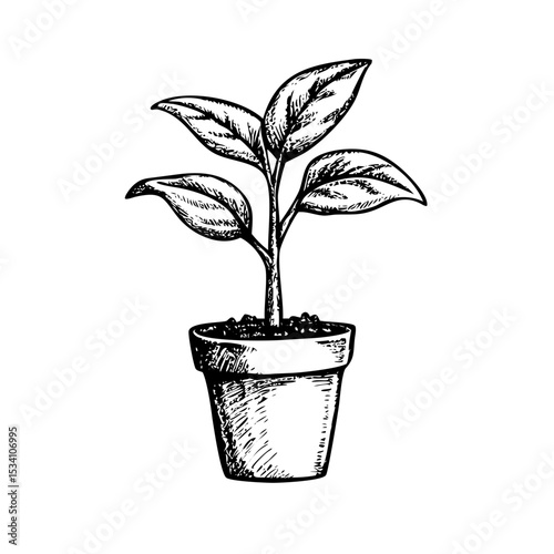 Hand-drawn growing plant in pot with vintage stipple grain texture