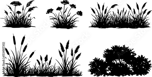 Charcoal doodle scribble in showcasing grass silhouettes wildflower meadow plants cattail reeds bushes a botanical illustration for nature landscape garden decorations PNG transparent background