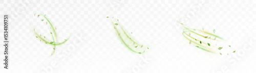 Swirling green light trails with floating leaves on transparent background. Eco-inspired dynamic elements for design, symbolizing air, freshness and energy.

