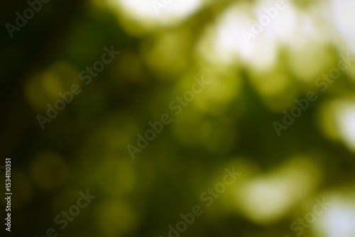 Ethereal verdant shimmerings blurred abstract nature background photo