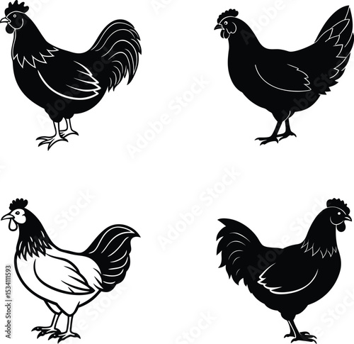 set of chicken vector silhouettes