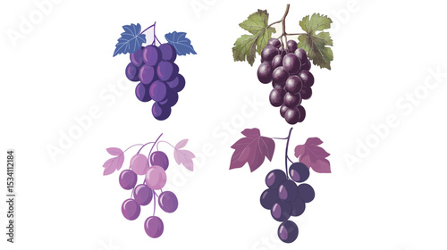 A simple stylized illustration of a bunch of purple grapes with smooth rounded shapes and vibrant color, showcasing fresh fruit, healthy natural food, and elegant minimalist design on white background