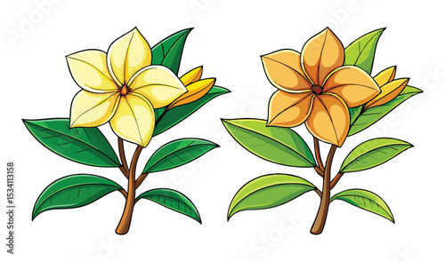 Photo of two vibrant tropical flowers, one yellow and one orange, bloom on their stems, isolated on white background