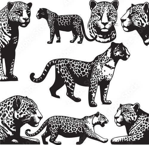 Black and White Jaguar Vector Illustration – Minimalist Wild Cat Silhouette Art	
