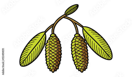 Photo of two golden alder cones hang gracefully from a branch, adorned with vibrant green leaves, isolated on white background