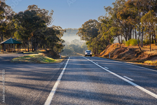 A quiet country road stretches through the Australian countryside, flanked by towering eucalyptus