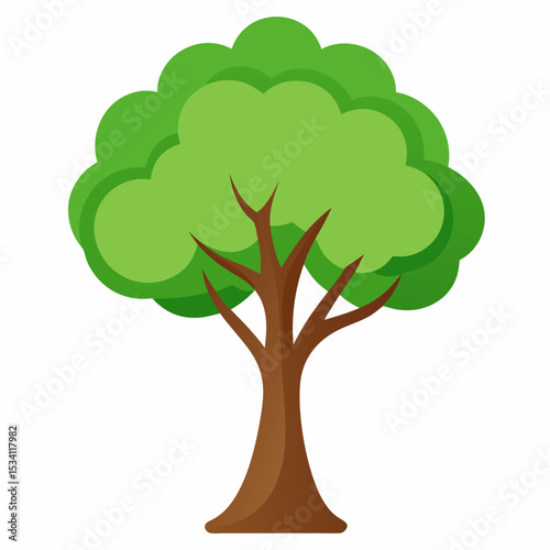 Minimal Tree Vector on White