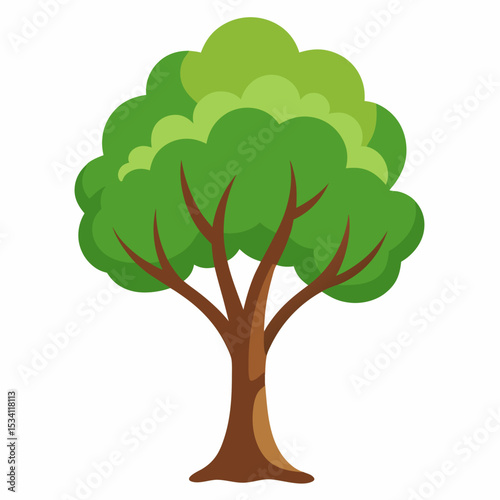 Minimal Tree Vector on White