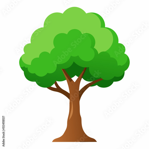 Minimal Tree Vector on White