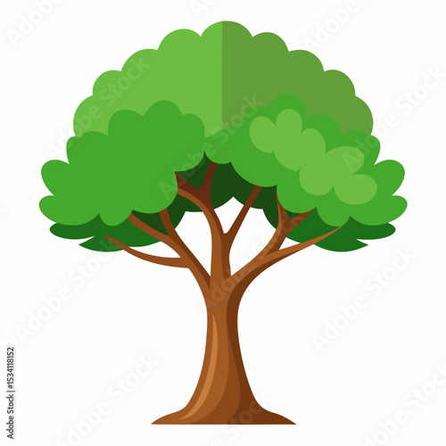 Minimal Tree Vector on White