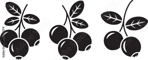 Three Black and White Illustrations of Lingonberries with Leaves