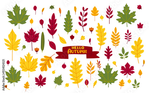 Collection of autumn leaves from different trees such as oak, maple, chestnut, ash and birch. Simple set of autumn leaves - perfect for patterns, banners or stickers. "Hello, autumn". Flat vector styl