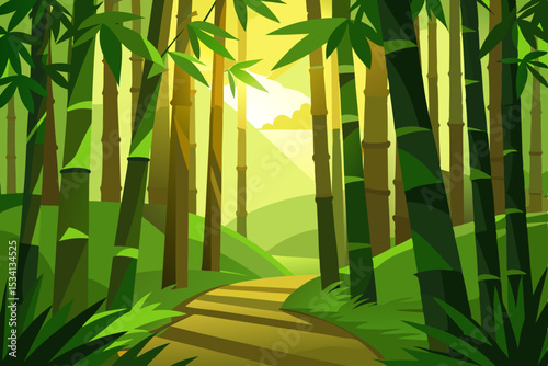 bamboo forest in the morning