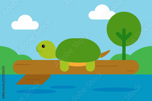 turtle on the beach