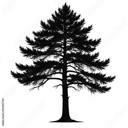 Black Silhouette Cedar Tree Vector with Horizontal Branch Layers and Dense Foliage in Flat Minimal Nature Style on White Background Full HD