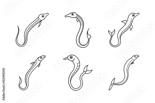  set of pipefish vector illustration