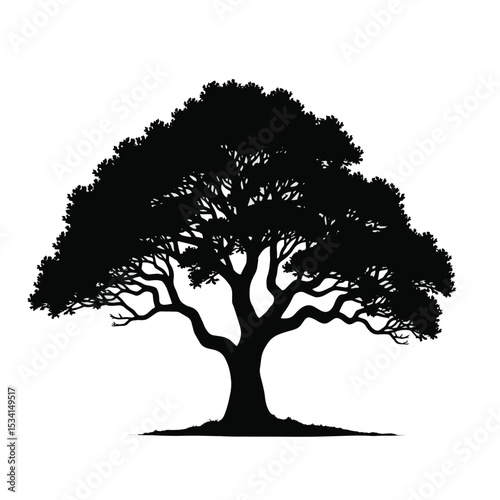 Black Silhouette Oak Tree Vector Illustration with Wide Branches and Dense Leaves in Minimal Style Isolated on White Background Full HD