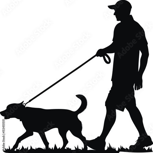 Silhouette of Man Walking Dog