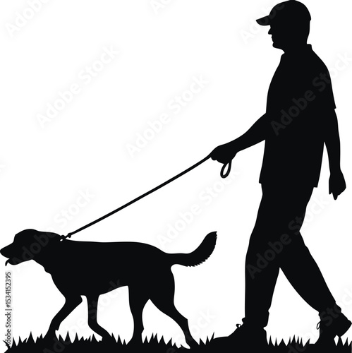 Silhouette of Man Walking Dog