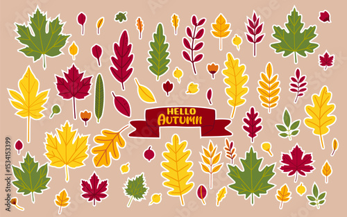 set of stickers of leaves from different trees such as oak, maple, chestnut, ash and birch. Simple set of autumn leaves - perfect for patterns, banners. "Hello, autumn". Illustration in flat vector st