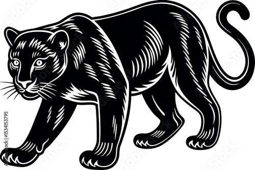 Walking panther black and white animal silhouette vector illustration