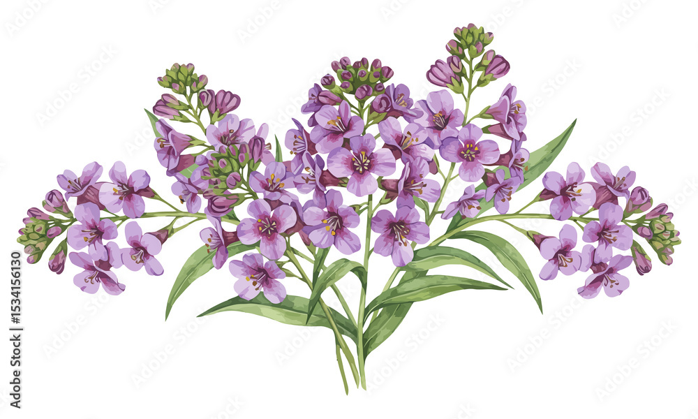 Fototapeta premium Purple Flowers Watercolor Bouquet Illustration on transparent background