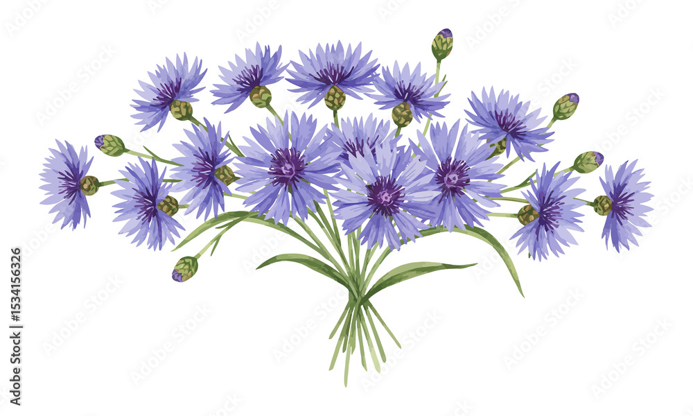 Obraz premium Watercolor Bouquet of Blue Cornflowers on transparent background