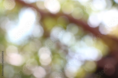 Dreamy Bokeh of Sunlight Filtering Through Lush Green Foliage