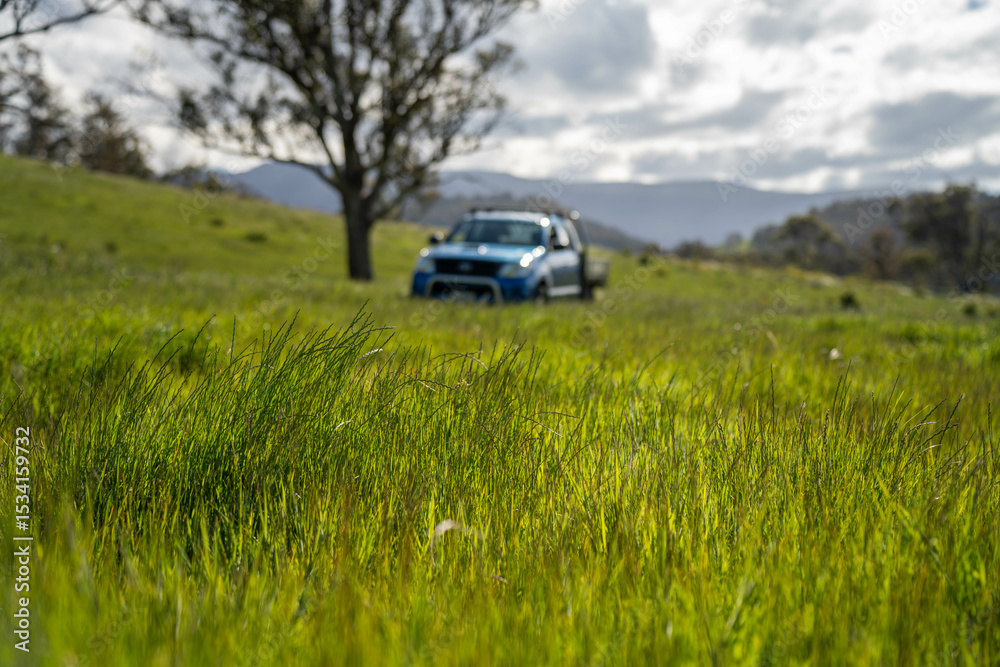lush tall pasture crop on a regenerative agriculture farm. A Utility Vehicle Parked in a Lush Green Australian Farm Pasture. Representing Rural Transport, Agricultural Operations of the Countryside. lush tall pasture crop on a regenerative agriculture farm. A Utility Vehicle Parked in a Lush Green Australian Farm Pasture. Representing Rural Transport, Agricultural Operations of the Countryside.