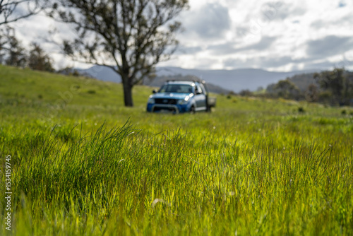 lush tall pasture crop on a regenerative agriculture farm. A Utility Vehicle Parked in a Lush Green Australian Farm Pasture. Representing Rural Transport, Agricultural Operations of the Countryside.