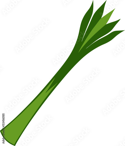 Leek with long stalk silhouette on a white background