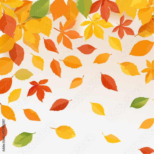 autumn leaves swirling in the wind