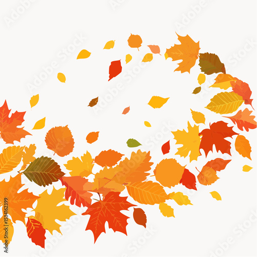 autumn leaves swirling in the wind