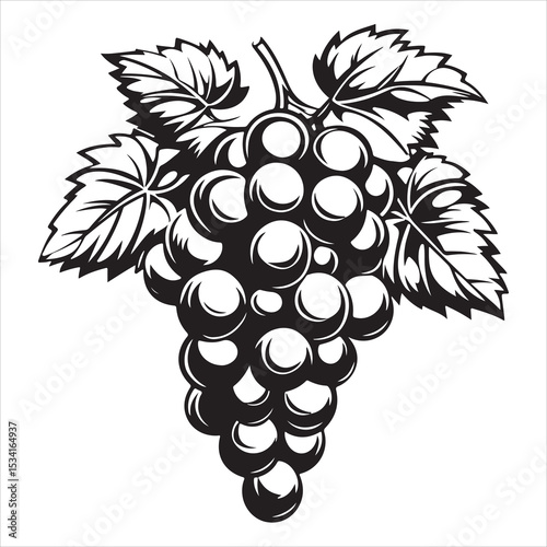 Black grape bunch vector illustration fruit clipart design for wine and food themes silhouette, Black and white grapevine silhouette features a bunch of grapes with leaves and tendrils