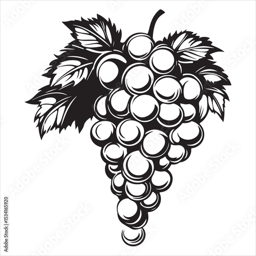 Black grape bunch vector illustration fruit clipart design for wine and food themes silhouette, Black and white grapevine silhouette features a bunch of grapes with leaves and tendrils