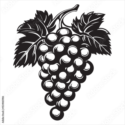 Black grape bunch vector illustration fruit clipart design for wine and food themes silhouette, Black and white grapevine silhouette features a bunch of grapes with leaves and tendrils