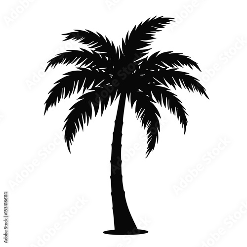 Tropical Black Silhouette Palm Tree Vector with Curved Trunk and Wide Fronds Isolated on White Background Full HD