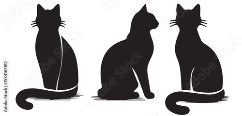 black and white cats