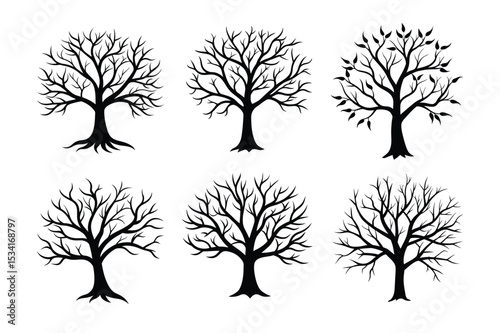 Collection of Six Bare and Leafy Tree Silhouettes Nature Illustrations for Design Projects